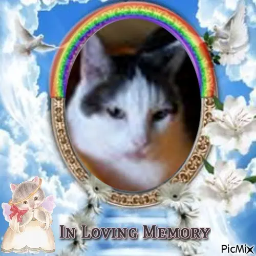 Andachtsbild von 3. Sternchen❤️❤️❤️Gedenktag❤️❤️❤️