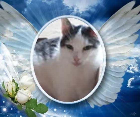 Andachtsbild von ❤️❤️❤️❤️❤️❤️❤️❤️❤️❤️❤️❤️