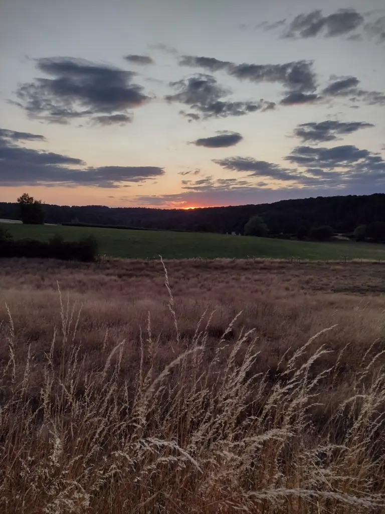 Andachtsbild von Corinna mit Emma, Pummelchen und anderen Sternlein im ❤️