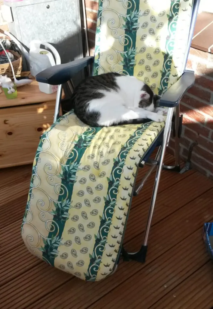 Andachtsbild von ❤️Deine Mutti und deine Oma ❤️ 