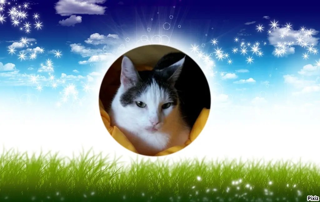 Andachtsbild von Tanja mit Timmy im Herzen 