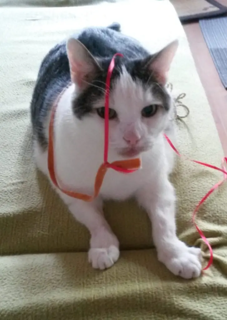 Andachtsbild von ❤️Deine Mutti Eike und Oma Edeltraud ❤️