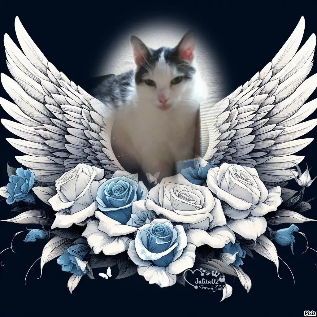 Andachtsbild von Tanja mit Timmy im Herzen 