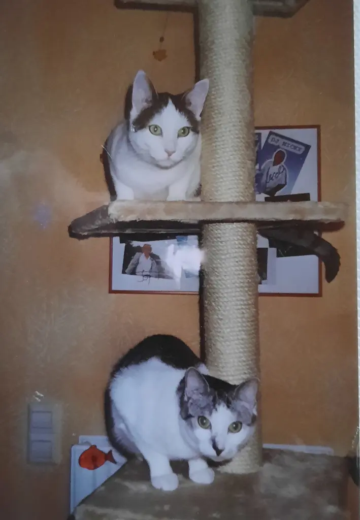 Andachtsbild von ❤️40 Mo❤️Deine Mutti und deine Oma ❤️ 