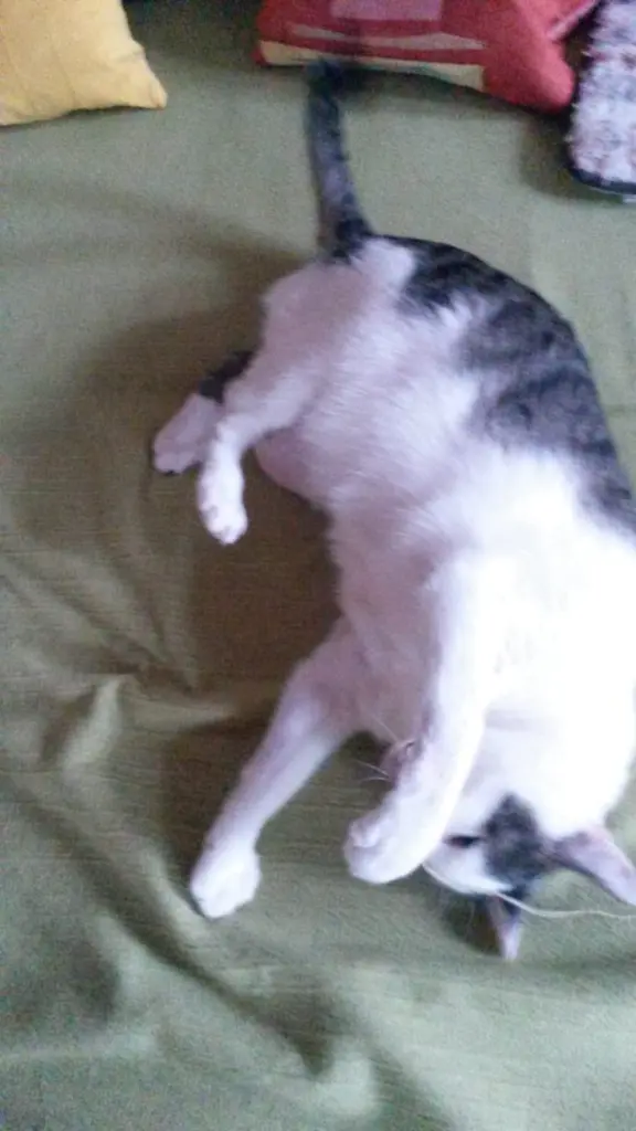 Andachtsbild von ❤️41 Mo ❤️Deine Mutti und deine Oma ❤️ 