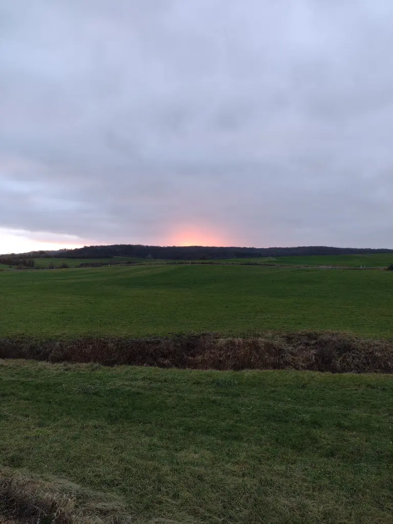 Andachtsbild von Corinna mit Emma, Jengi, Pummelchen und anderen Sternleine im Herzen