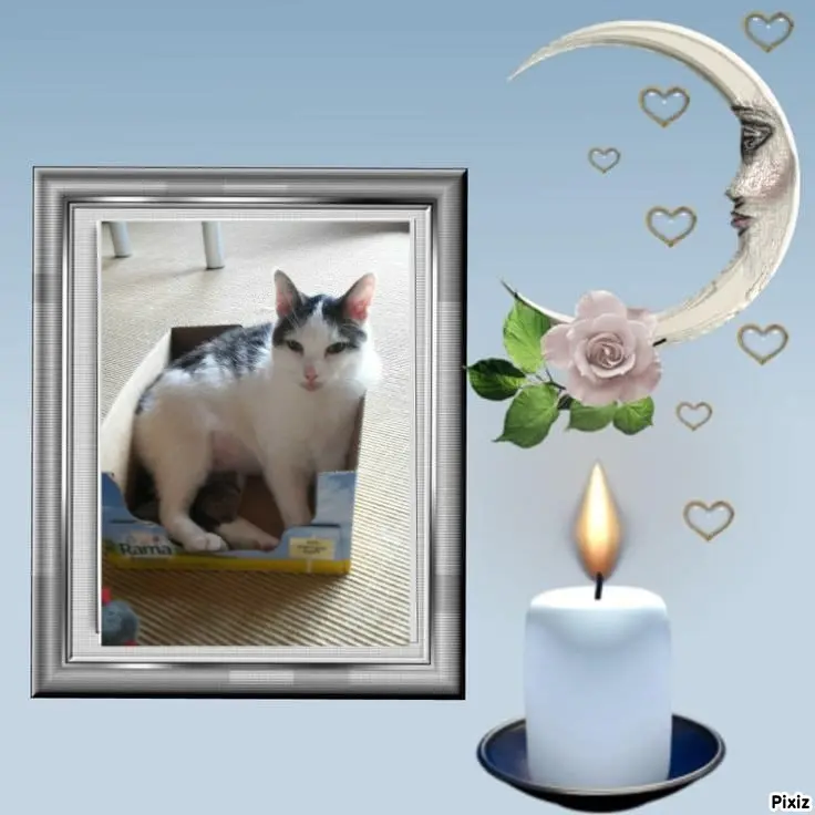 Andachtsbild von Tanja mit Timmy im Herzen 