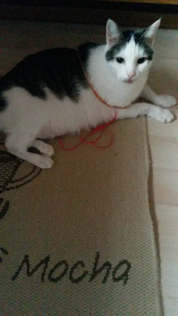 Andachtsbild von ❤️42 Mo❤️Deine Mutti und deine Oma ❤️ 