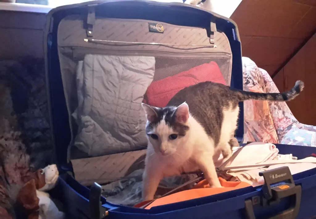 Andachtsbild von ❤️43 Mo❤️Deine Mutti und deine Oma ❤️ 