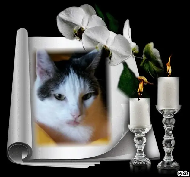 Andachtsbild von Tanja mit Timmy im Herzen 