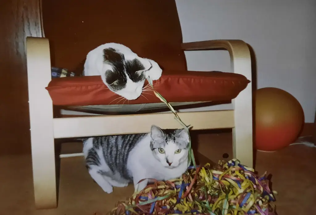 Andachtsbild von ❤️46 Mo❤️Deine Mutti und deine Oma ❤️ 