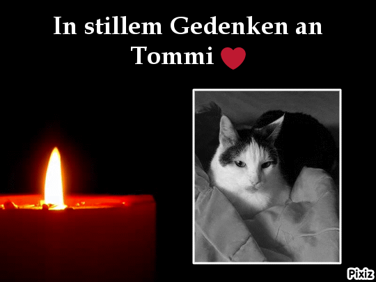 Andachtsbild von Tanja mit Timmy im Herzen 