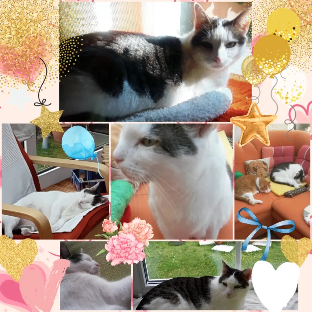 Andachtsbild von ❤️Deine Mutti und deine Oma ❤️ 