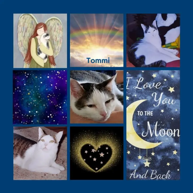 Andachtsbild von Sternenrosen für Tommi zum 4. Gedenktag