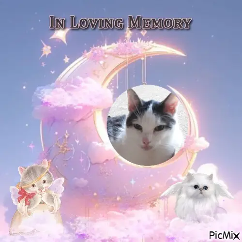 Andachtsbild von 4.Sternchen❤️Gedenktag❤️❤️❤️❤️