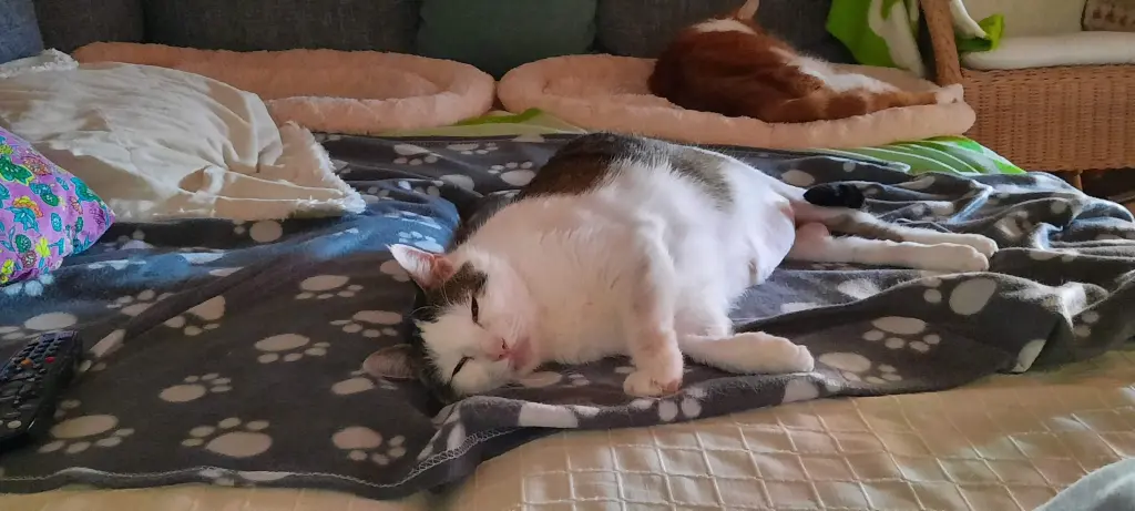 Andachtsbild von ❤️49 Mo❤️Deine Mutti und deine Oma ❤️ 