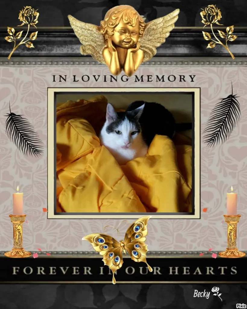 Andachtsbild von Tanja mit Timmy im Herzen 