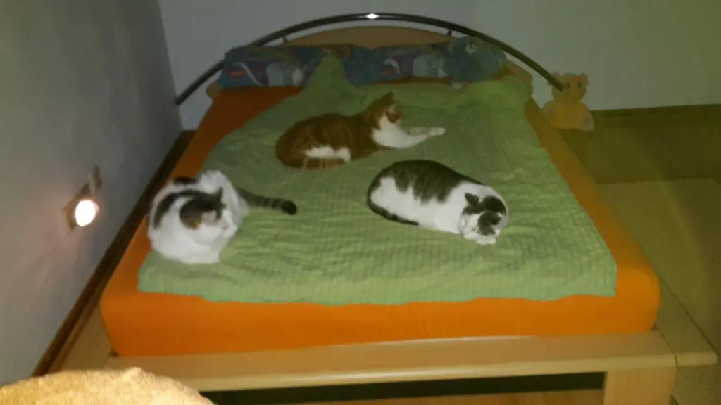 Andachtsbild von ❤️50 Mo❤️Deine Mutti und deine Oma ❤️ 