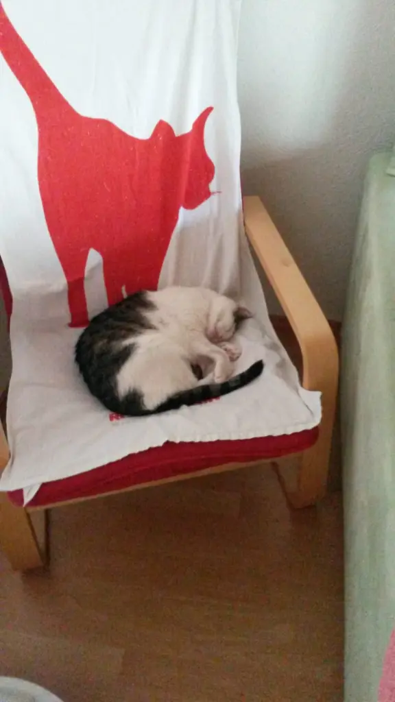 Andachtsbild von ❤️51 Mo❤️Deine Mutti und deine Oma ❤️ 