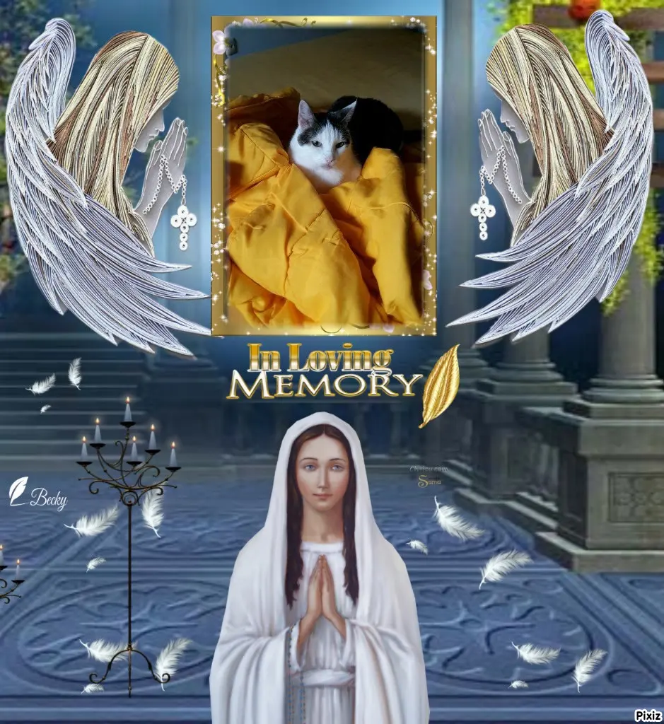 Andachtsbild von Tanja mit Timmy im Herzen