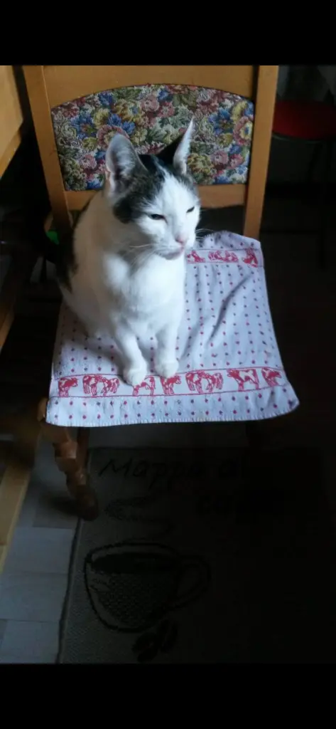 Andachtsbild von ❤️53 Mo❤️Deine Mutti und deine Oma ❤️