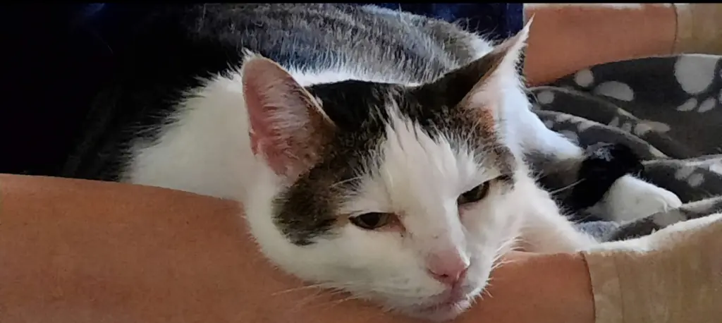 Andachtsbild von ❤️54 Mo❤️Deine Mutti und deine Oma ❤️