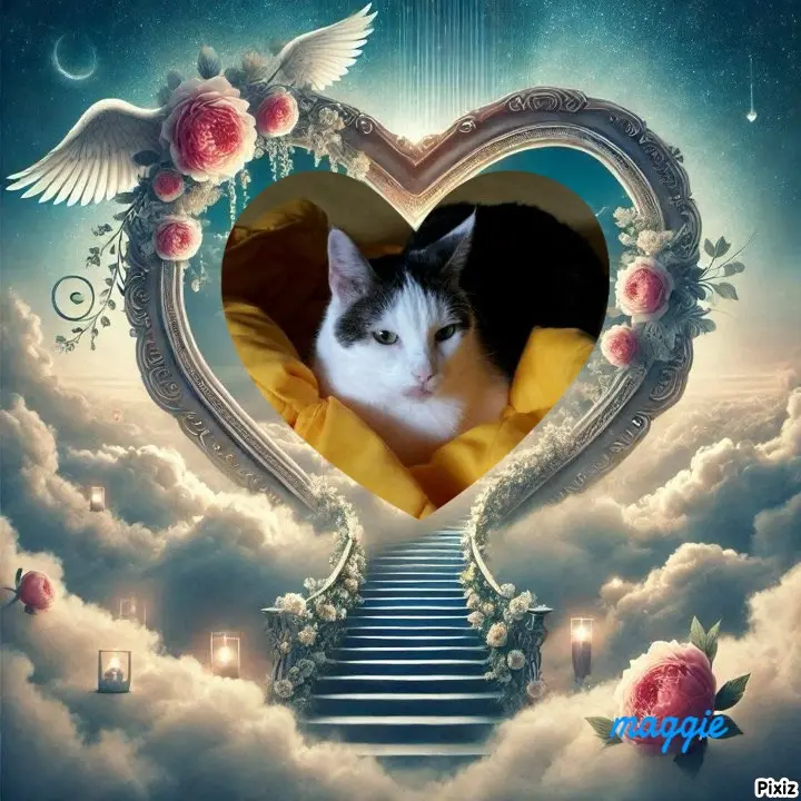 Andachtsbild von Tanja mit Timmy im Herzen