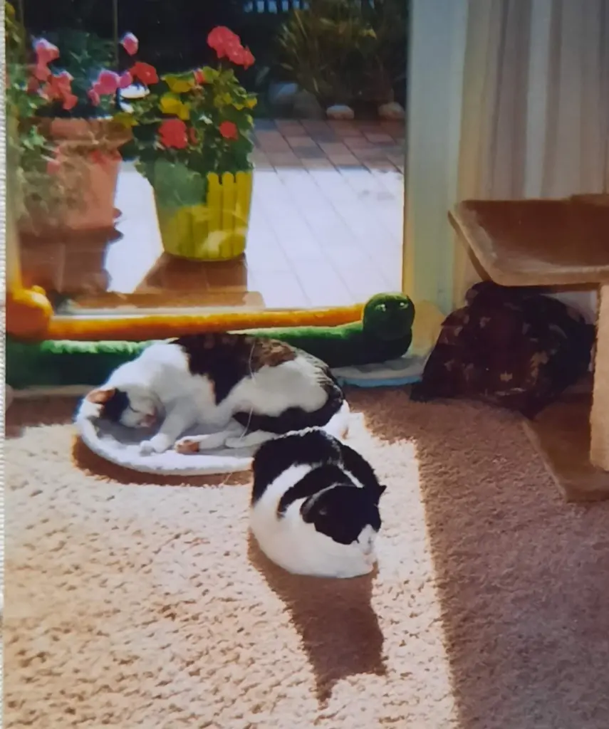 Andachtsbild von ❤️55 Mo❤️Deine Mutti und deine Oma ❤️