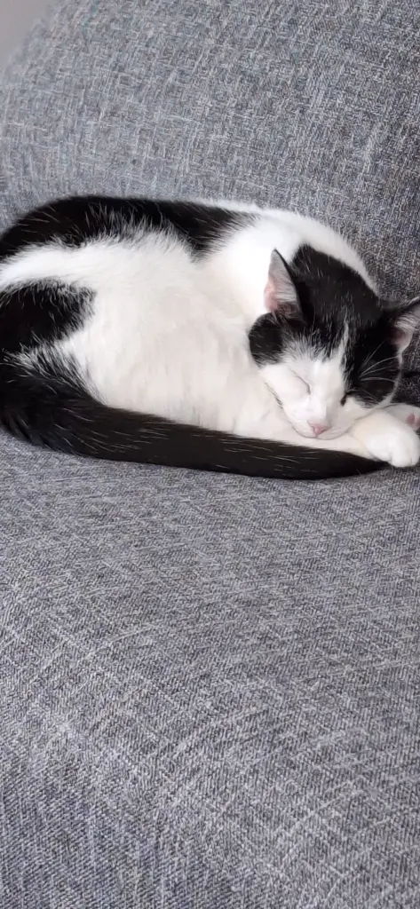 Andachtsbild von ❤️59 Mo❤️Deine Mutti und deine Oma ❤️