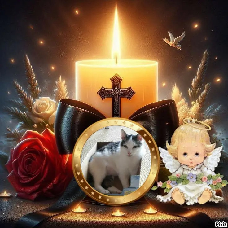 Andachtsbild von Tanja mit Timmy im Herzen