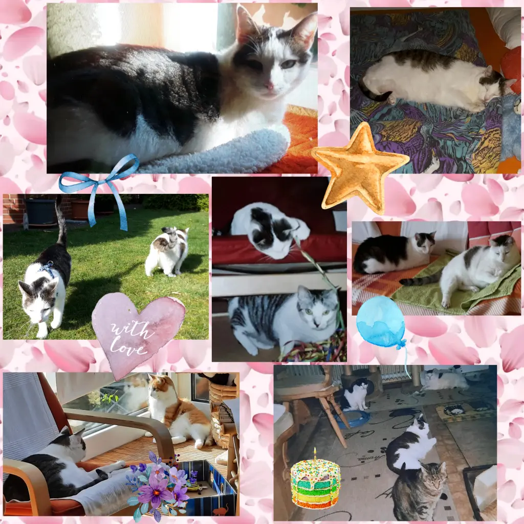 Andachtsbild von ❤️5. Sternchengeburtstag ❤️ Deine Mutti und deine Oma ❤️❤️