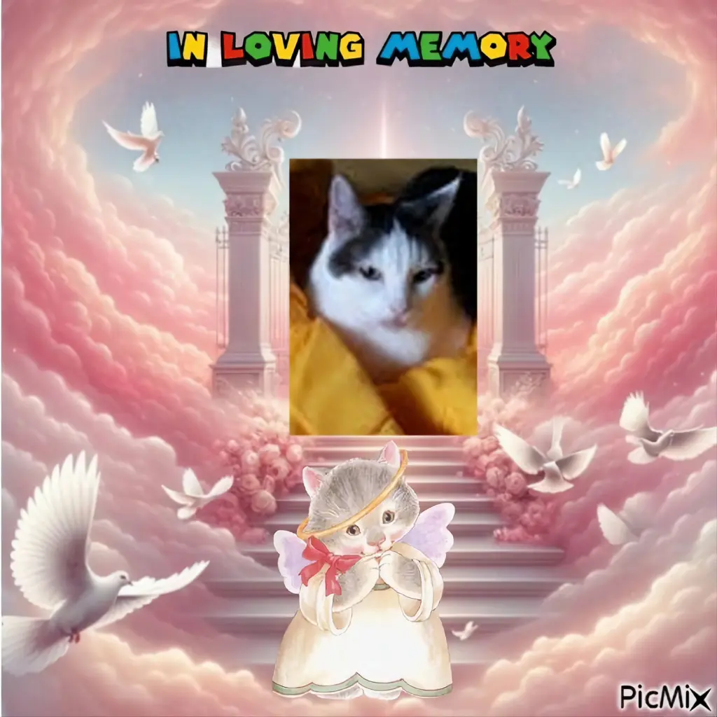 Andachtsbild von ❤️❤️❤️❤️❤️❤️❤️❤️❤️❤️❤️❤️