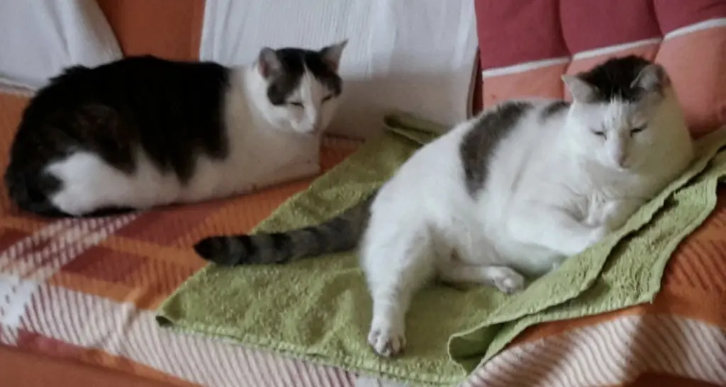 Andachtsbild von ❤️61 Mo❤️Deine Mutti und deine Oma ❤️