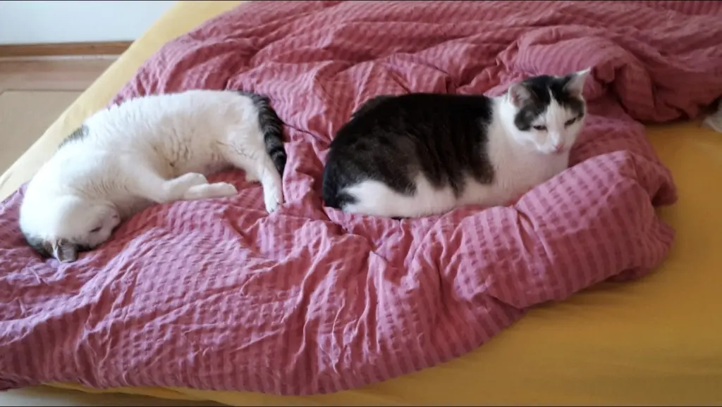 Andachtsbild von ❤️62 Mo❤️Deine Mutti und deine Oma ❤️