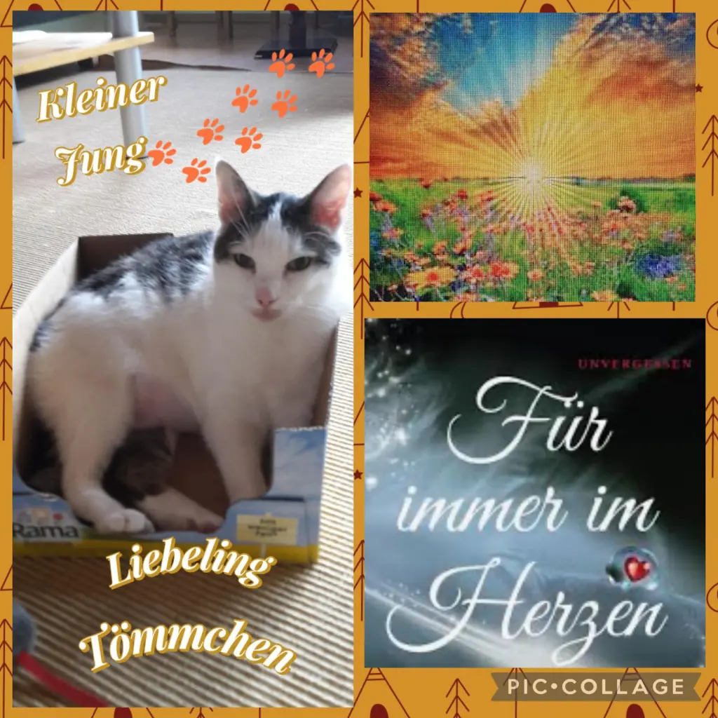 Andachtsbild von ❤️63 Mo❤️Deine Mutti und deine Oma ❤️