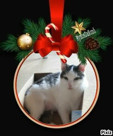 Andachtsbild von Tanja mit Timmy im 💘