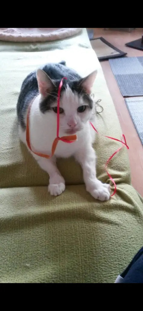 Andachtsbild von ❤️65 Mo❤️Deine Mutti und deine Oma ❤️