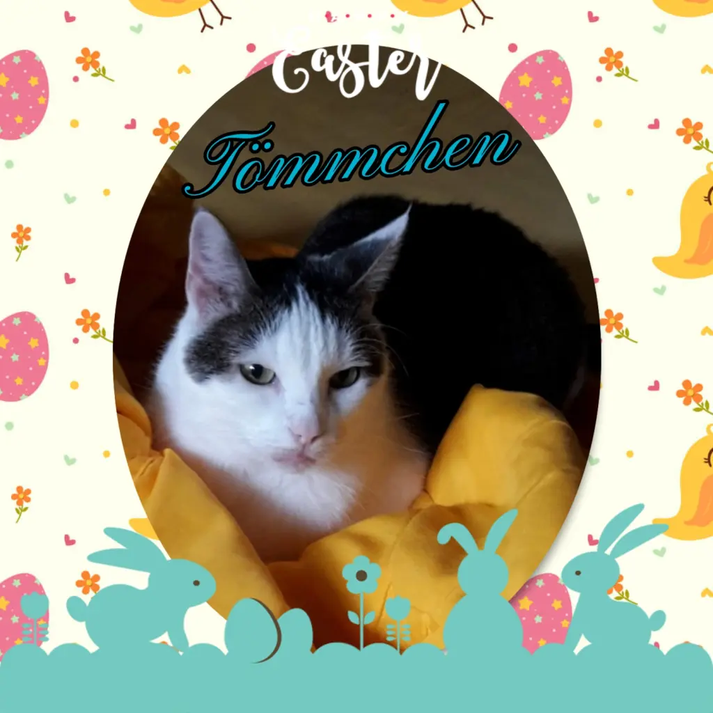 Condolence image of 💐Frohe Ostern 💐 Tömmchen ❤️