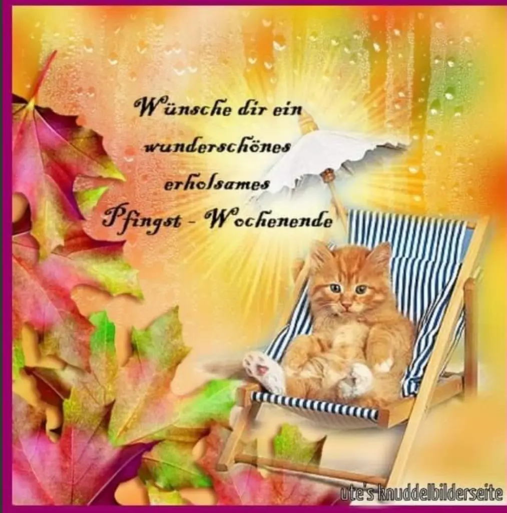 Condolence image of ❤️Zu Pfingsten ❤️ Für Tömmchen ❤️