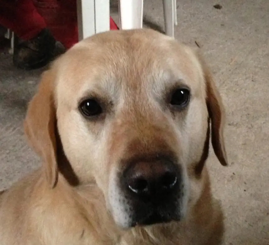 Condolence image of Claudia