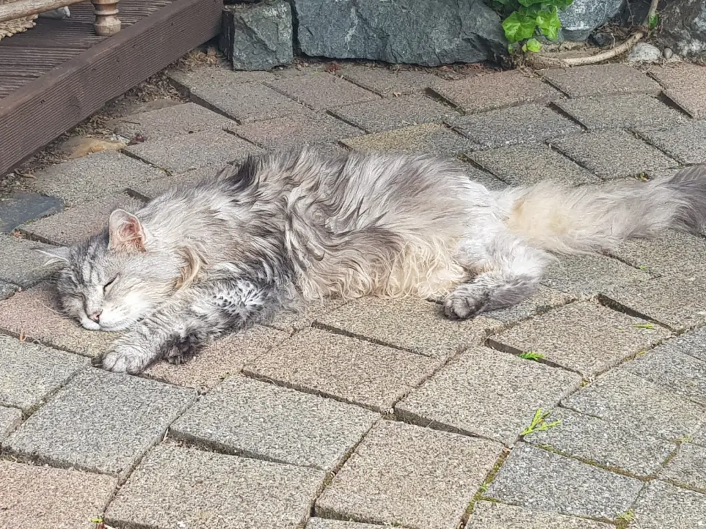 Andachtsbild von Barbara