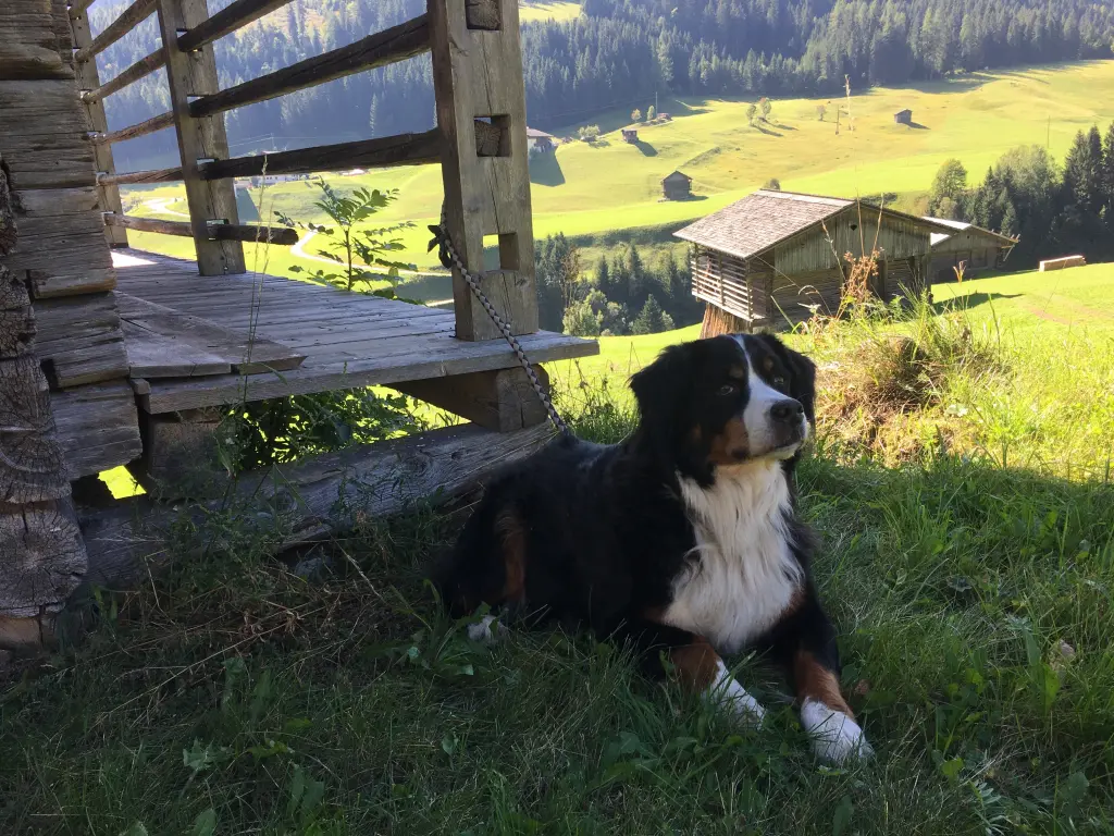 Image from Moritz