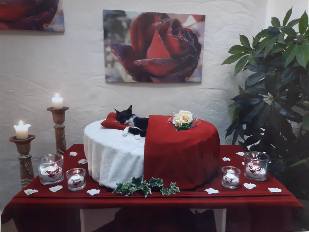 Condolence image of Vanessa