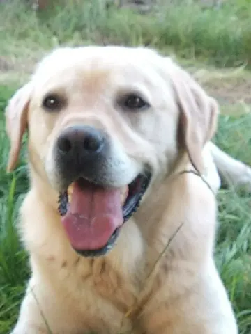 Condolence image of Claudia 