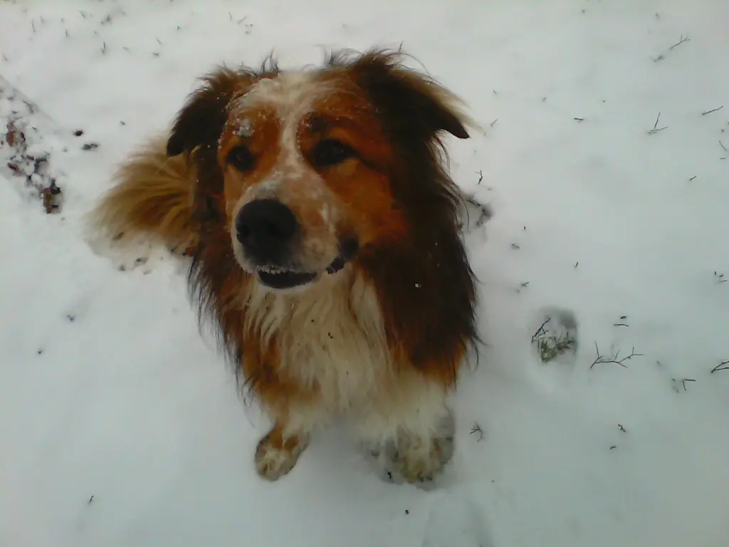 Bild von Max