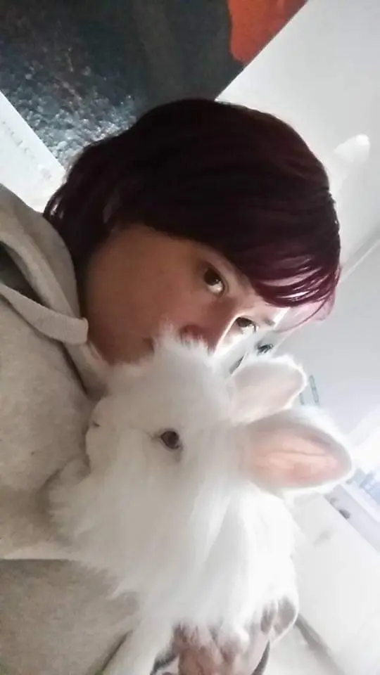 Image from Püppy