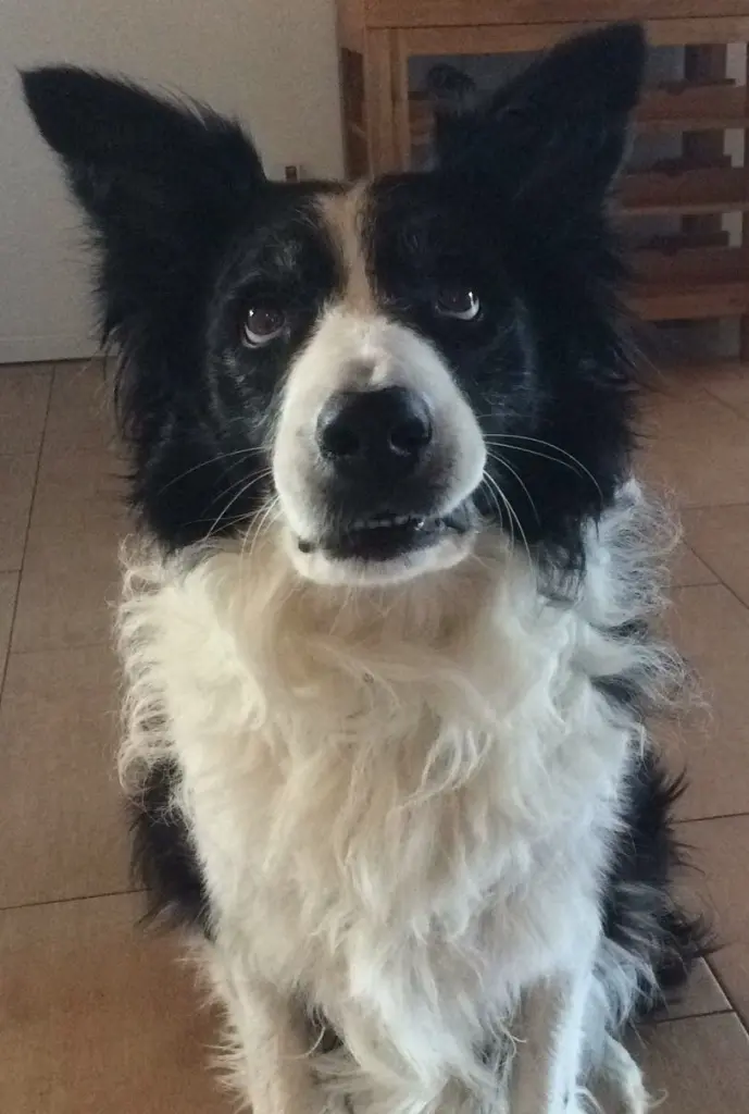 Condolence image of Ulrike