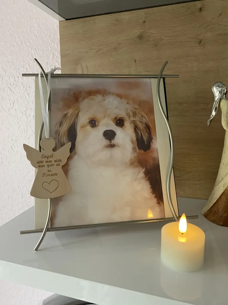Condolence image of Silke