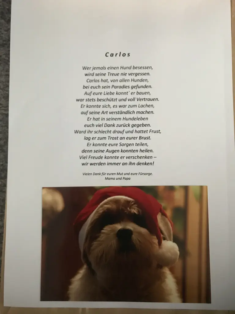 Image from Carlos