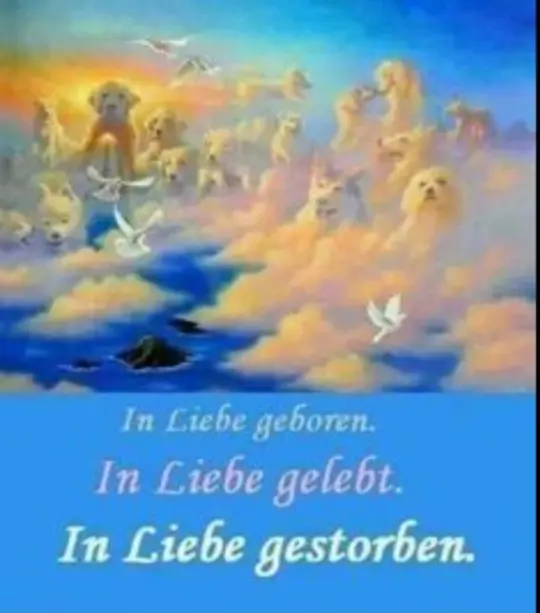 Condolence image of Fabian & Brigitte